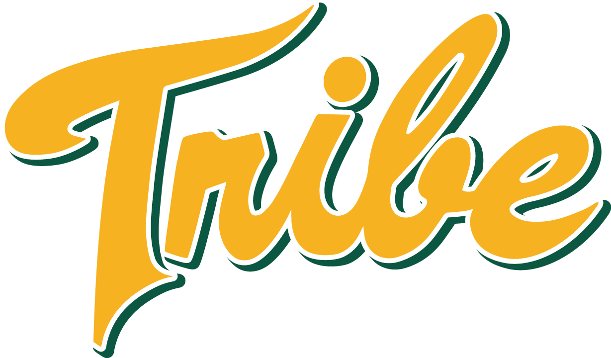 William and Mary Tribe 2016-Pres Alternate Logo diy DTF decal sticker